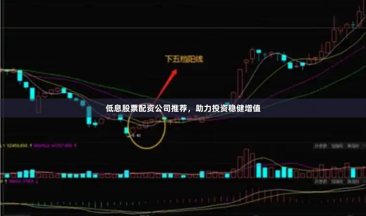 低息股票配资公司推荐，助力投资稳健增值