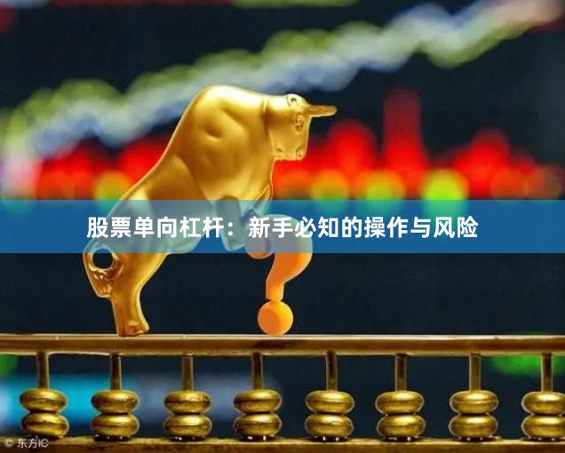 股票单向杠杆：新手必知的操作与风险